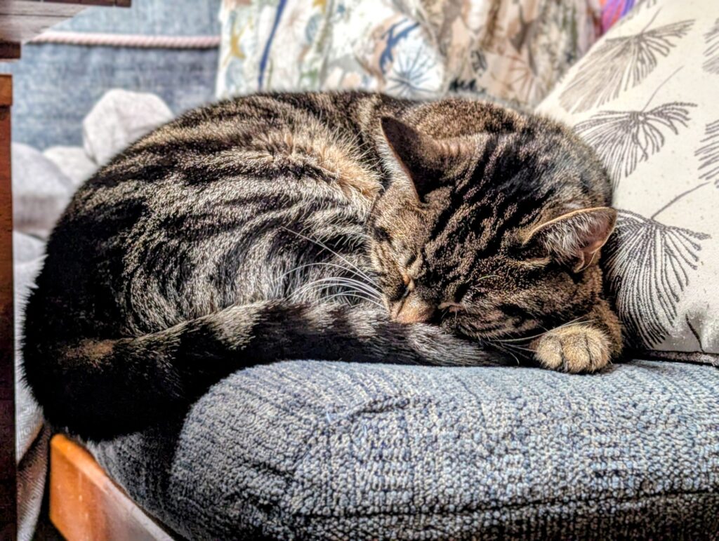 Skipper asleep on the port settee.